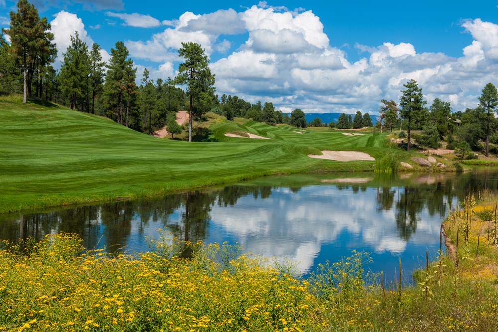 Twosome at The Rim Golf Club