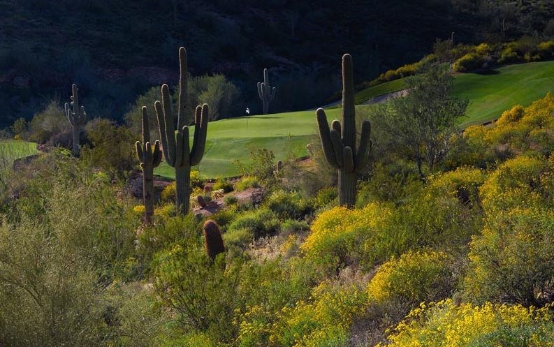 Twosome at Eagle Mountain Golf Club
