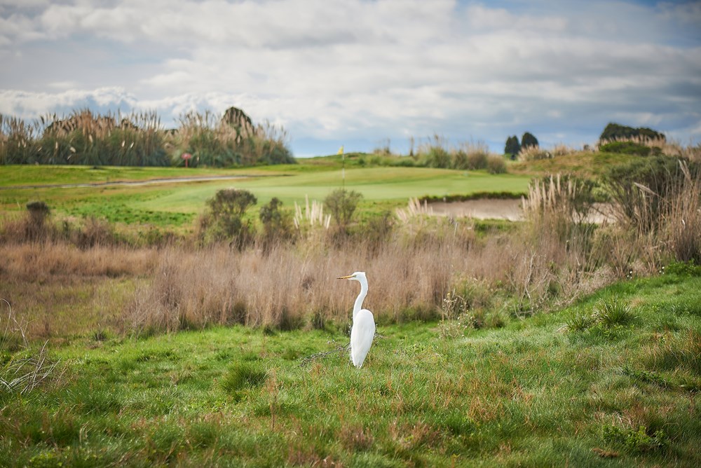 Foursome at Metropolitan Golf Links