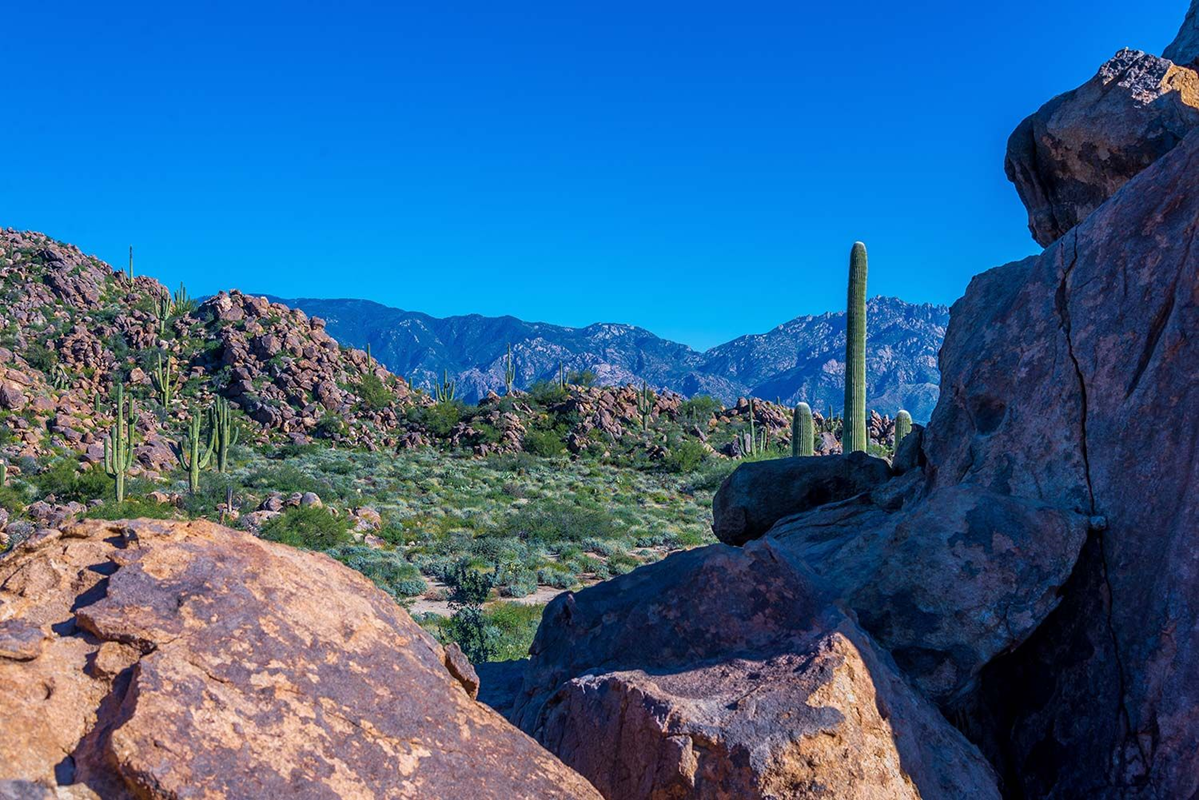 Foursome at The Stone Canyon Club