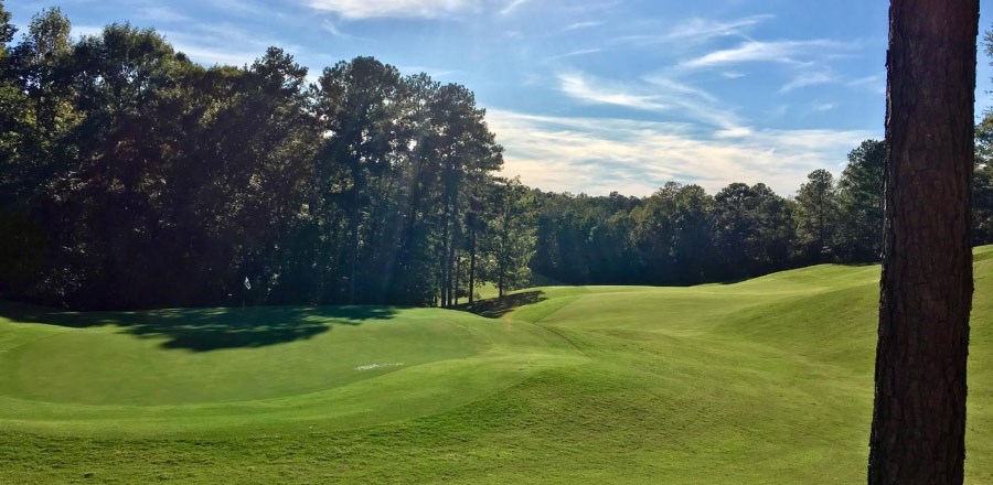 Foursome at Stillwaters Golf Course