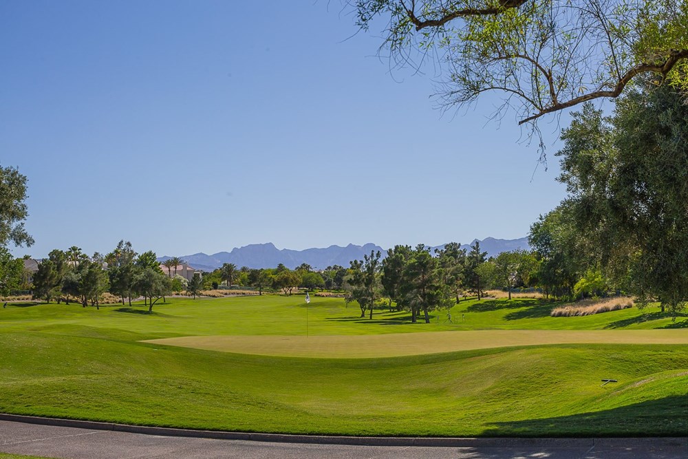 Foursome at TPC Summerlin