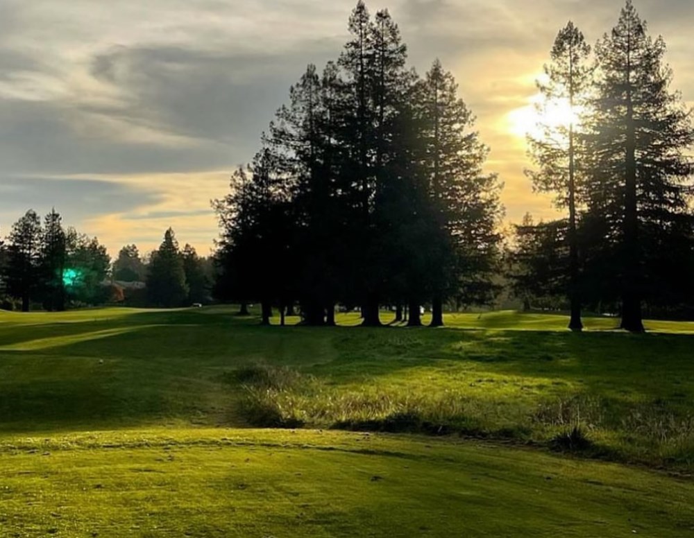 Twosome at Foxtail Golf Club