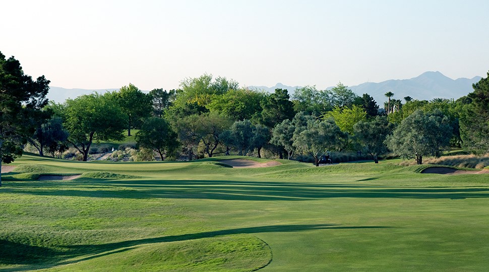Full One Year TPC Summerlin Membership!