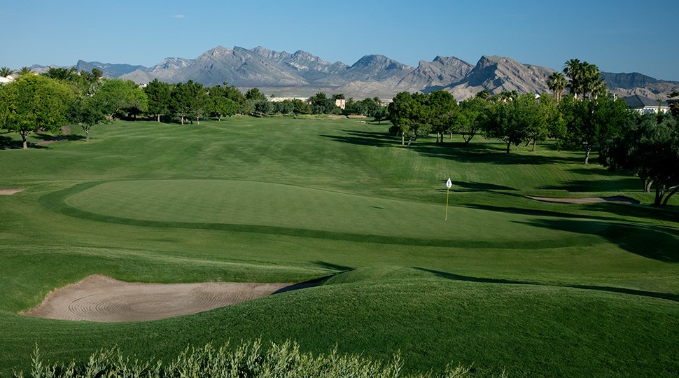 Full One Year TPC Summerlin Membership!