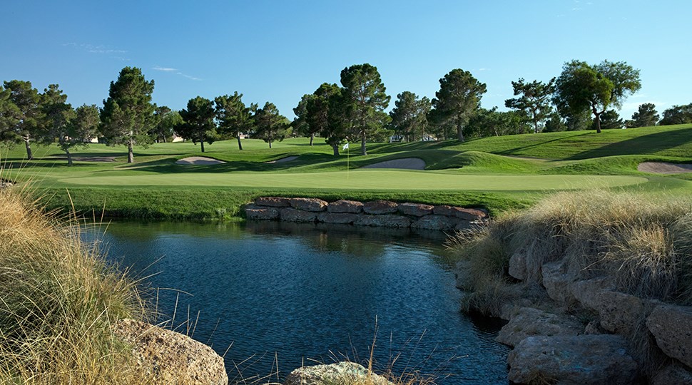 Full One Year TPC Summerlin Membership!